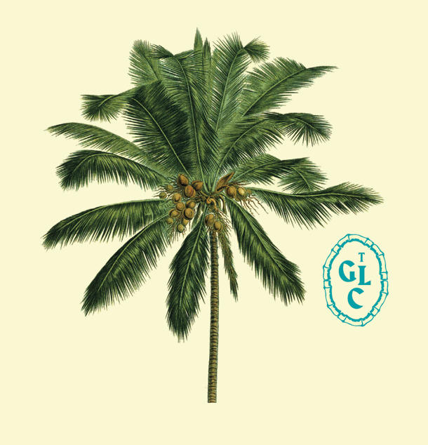 Coconut Tree